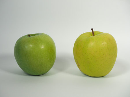 granny smith and golden delicious green applesの写真素材