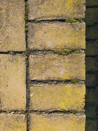 yellow brick wall useful as a background