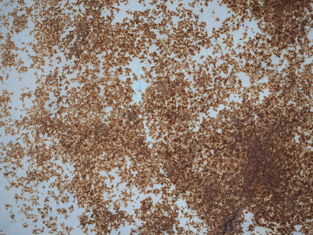 rusted steel metal texture useful as a backgroundの写真素材