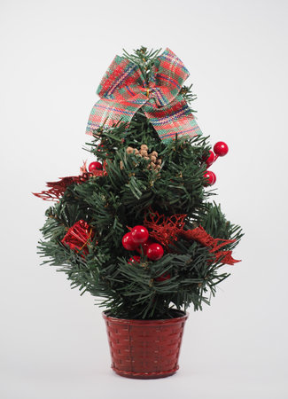 christmas tree over a light grey backgroundの写真素材
