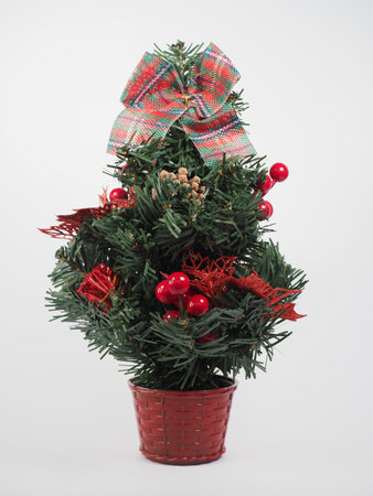 christmas tree over a light grey backgroundの写真素材