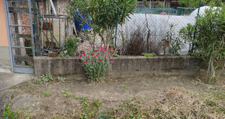 urban vegetable garden with greenhouse and rainwater harvesting tanksの写真素材