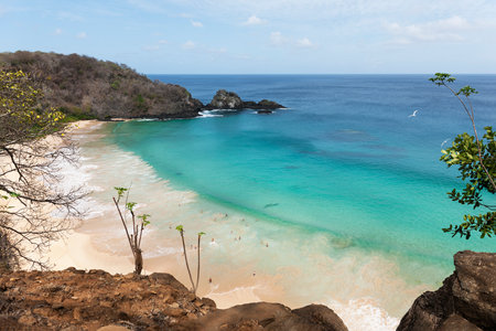 Beautiful view from above of the bay of Praia do Sancho in Fernando de Noronha, with rocks and plants in the foregroundの写真素材