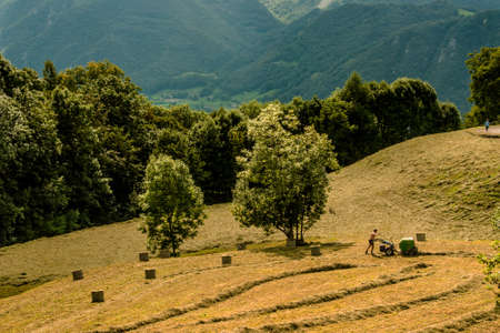 Moggio, 9 agosto 2011 - Fienagioneのeditorial素材