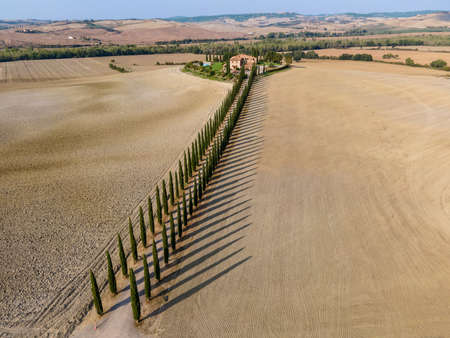 Cypress Tree Line in Tuscany at the end of summer.の写真素材