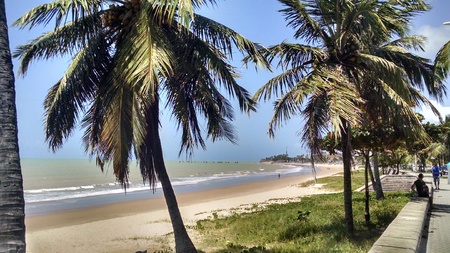 Vacation on the beach of this wonderful.の写真素材