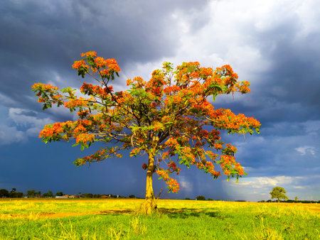 Nature expressed in colorsの写真素材