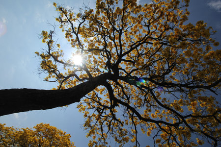Projects for sustainability and clean energyの写真素材