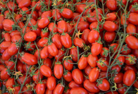  Tomatos in a basket at the marketの写真素材