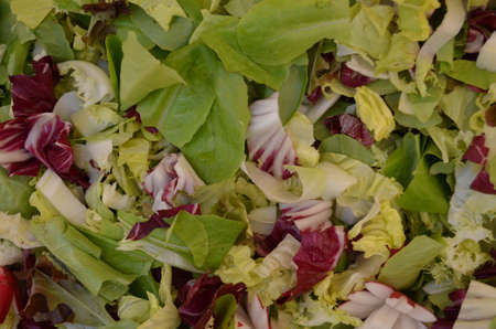  Fresh mixed vegetable salad の写真素材