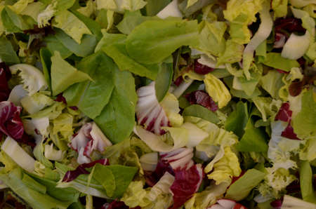  Fresh mixed vegetable salad の写真素材