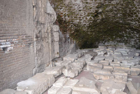 Colosseo  Flavianの写真素材