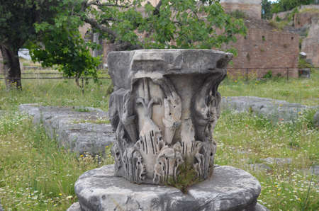 Fori Romaniの写真素材