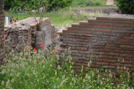 Fori Romaniの写真素材