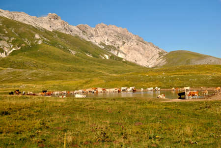 Gran Sasso Italyの写真素材