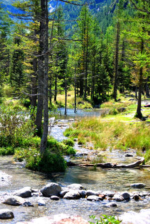 Valley of the fairiesの写真素材