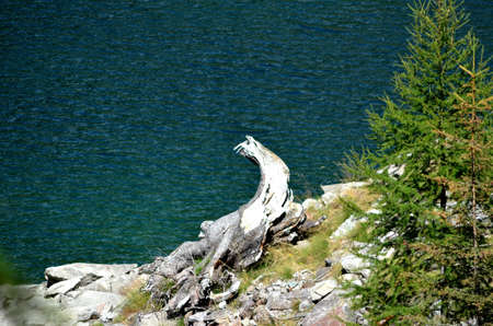 Mountain lake 1-10の写真素材