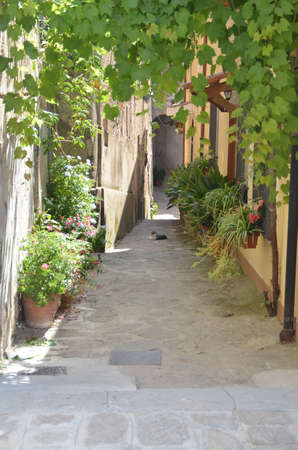Pearl of the Cilento Castellabateの写真素材
