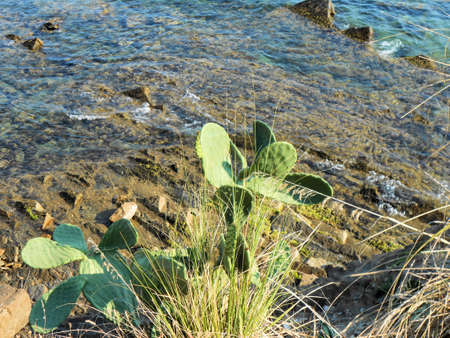Rocks, caves and the coasts of Cilento - 1 di 20の写真素材