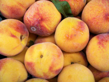 yellow peachesの写真素材