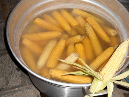 corn on the cob boiled in large pot of steelの写真素材