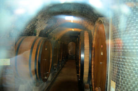 Wine barrels