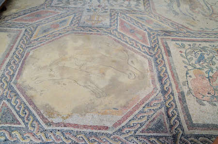 Roman mosaicsの写真素材