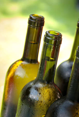 Bottles of wineの写真素材