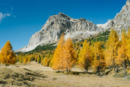 Autumnal view of the top of Lagazuoi, Dolomites Italyの写真素材