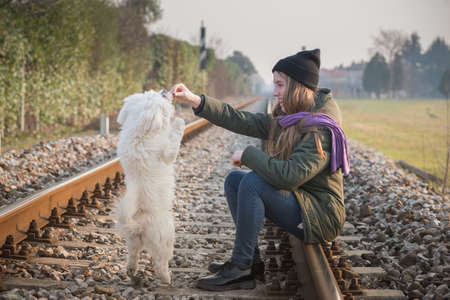 Teen girl with her dog on the railsの写真素材