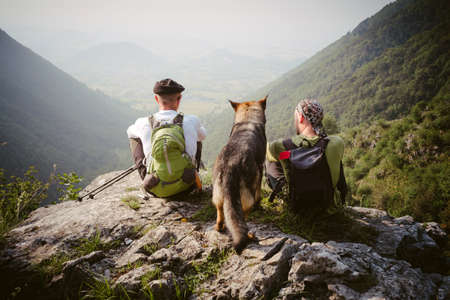 friends with their dog admires the scenery