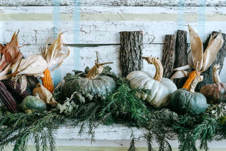 Decorative pumpkins on wood wallの写真素材
