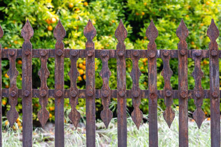 Old rusty wrought iron railing - close upの写真素材