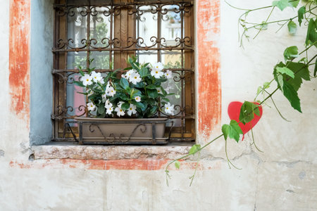 Flowers in a pot on the windowsill of an old houseの写真素材