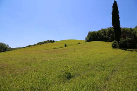 Hills of Chiantiの写真素材