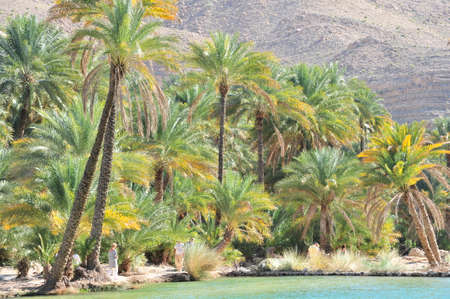 Waterpool in Wadi Bani Khalid Omanの写真素材