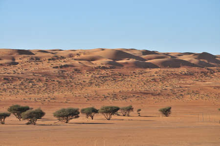 Sandy desert in Omanの写真素材