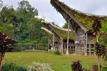 Traditional homes of the Toraja's people on Sulawesi island. Indonesia.の写真素材
