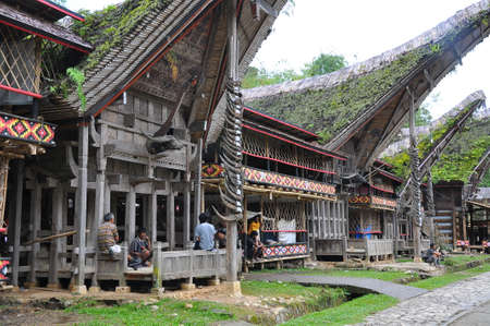 Typical Torajan houses, called Tongkonan