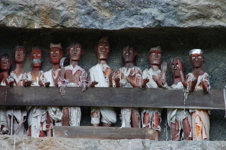 Little traditional village hidden in the jungle of the Mamasa countrysideの写真素材