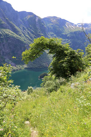 Naeroyfjord idyllic fjord landscape reflection, ship ferry, Norway, scandinaviaの写真素材