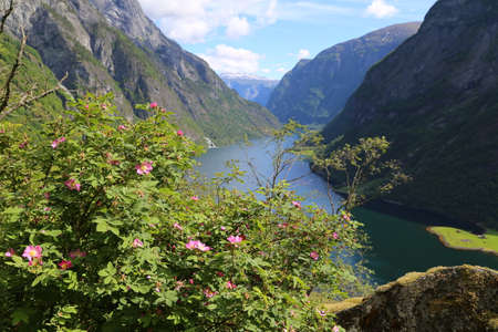 Naeroyfjord idyllic fjord landscape reflection, ship ferry, Norway, scandinaviaの写真素材