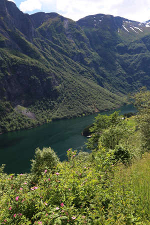 Naeroyfjord idyllic fjord landscape reflection, ship ferry, Norway, scandinaviaの写真素材