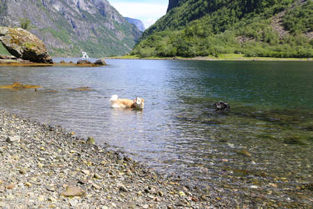 Naeroyfjord idyllic fjord landscape reflection, ship ferry, Norway, scandinaviaの写真素材