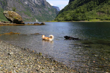 Naeroyfjord idyllic fjord landscape reflection, ship ferry, Norway, scandinaviaの写真素材