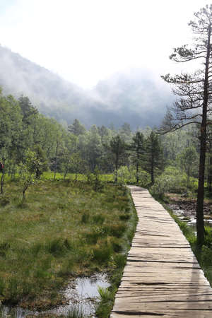 Hiking trail to Preikestolen ( Pulpit Rock )の写真素材