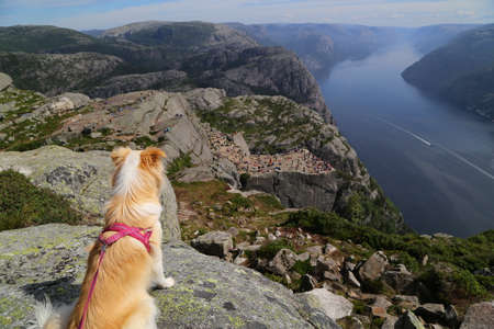 Preikestolen - famous cliff at the norwegian mountainsの写真素材