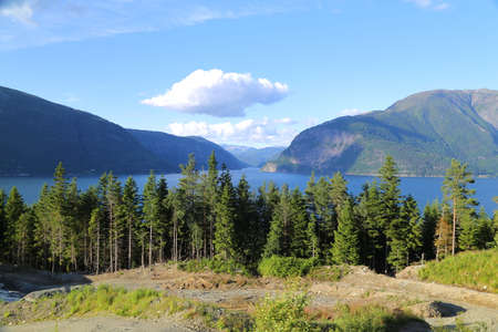 Hardangerfjord in south western Norway in the summerの写真素材