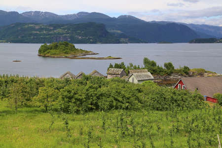 Hardangerfjord in south western Norway in the summerの写真素材