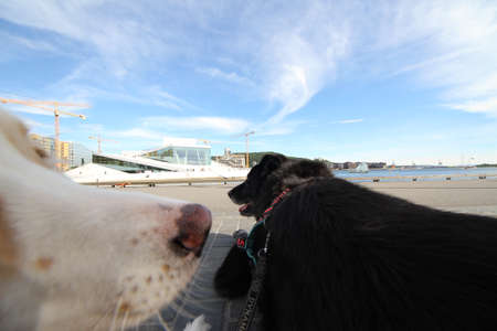 Tourists exploring Oslo Opera House, Norway